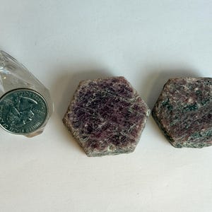 K&ouml;nnte beinhalten: Zwei hexagonale Rubin-in-Zoisit-Kristalle mit gesprenkelten dunkelroten und dunkelgr&uuml;nen Texturen, platziert neben einer klaren Quarzspitze und einer M&uuml;nze als Gr&ouml;&szlig;envergleich, die nat&uuml;rliche Mineralformationen und Kristallstrukturen zeigen.