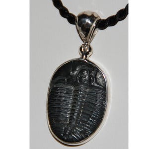 Trilobite Sterling Silver Pendant 925 Black Fossil Rock Gift