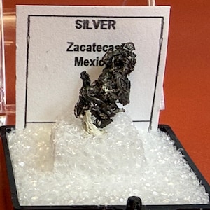 Puede incluir: Un pequeño espécimen mineral de plata oscura de Zacatecas, México, exhibido en una caja de plástico transparente. El espécimen tiene una forma compleja y texturizada, montado sobre una base blanca. La etiqueta dice "SILVER" y "Zacatecas Mexico."