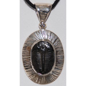 Trilobite Sterling Silver Pendant 925 Fossil Black