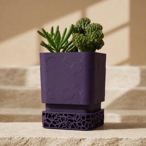 May include: A deep purple square planter featuring a raised hexagonal pattern on the upper section and a complex, open-work lattice design on the base. Two green succulent plants are potted inside, extending above the top rim of the container.