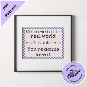 Peut inclure: Un point de croix encadré avec le texte "Welcome to the real world! It sucks. You're gonna love it." en noir sur fond blanc avec une bordure violette. Le point de croix est encadré en noir et a un passe-partout blanc. Un autocollant avec le texte "Bay. Crochet Handmade With Love" est dans le coin inférieur droit de l'image.