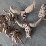 Skulls