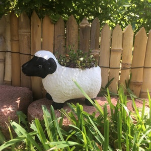 May include: A white ceramic sheep planter with black ears and a face, filled with green succulents. The planter is sitting on a bed of green grass in front of a bamboo fence.