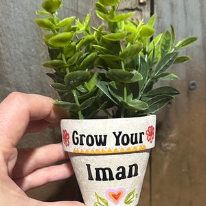 May include: A small, decorative flower pot with the words "Grow Your Iman" in black lettering. The pot is filled with green artificial plants. The pot has a floral design in orange, pink, and green.