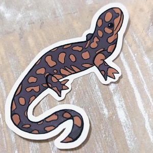 Aufkleber in Form eines Tigersalamanders