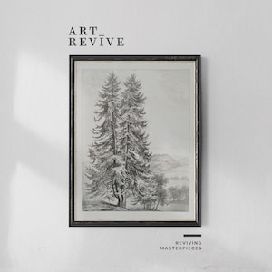 Immergrüner Baum Zeichnung | DRUCKBAR | Bleistift Skizze | Vintage Landschaft Gemälde | Kunst Revive_SK010