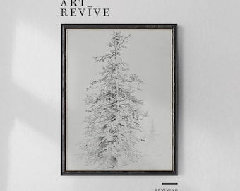 Pine Tree Drawing | PRINTABLE | Vintage Pencil Sketch | Botanical Artwork | Digital DOWNLOAD | Art Revive_SK011