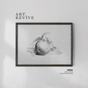 May include: Black and white framed print featuring a detailed pencil drawing of an apple with leaves. The artwork is labeled "ART_REVIVE" at the top and "REVIVING MASTERPIECES" at the bottom, suggesting a vintage or classic style.