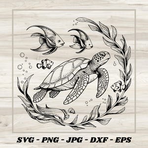 Żółw morski SVG, plik PNG JPG, Żółw morski, natychmiastowe pobieranie, projekt koszulki plażowej, sztuka żółwia | Skorupa żółwia svg, nadruk żółwia