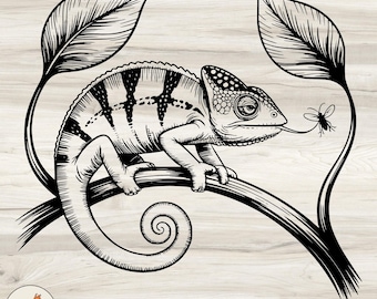 Chameleon Line Art SVG: regalo per gli amanti dei rettili, clipart di animali della giungla (download digitale)