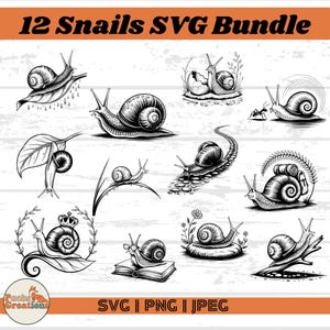 Paquete SVG de caracoles: 12 adorables diseños de imágenes prediseñadas de caracoles, grabado de caracoles para Cricut, silueta de caracol negro PNG JPG, descarga digital