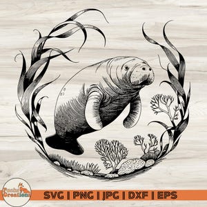 Manatee SVG, Ocean Animal SVG, Underwater Scene SVG, Marine Life Clipart, Engraving Style Sea Life,  Manatee Png, Digital Download
