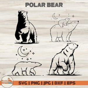 Polar Bear SVG Bundle, Arctic Animal Clipart, Wildlife Silhouette SVG, Polar Bear Family PNG, Polar Bear Clipart, Polar Bear Vector