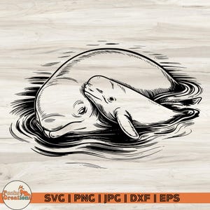 Beluga Whale Mom and Baby SVG: Engraving Style Clipart (Digital Download)