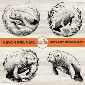 Seekuh SVG-Bundle, Seekuh Png, Ozeantier SVG, Unterwasserszene SVG, Meeresleben Clipart, Gravurstil Meeresleben, digitaler Download