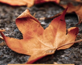 Autumn Coloring Book Printable, Fall Art Activity (PDF Pattern)