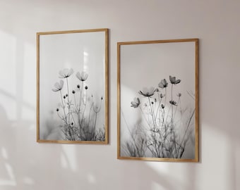 May include: Two framed black and white photographs of delicate wildflowers with a blurred background.