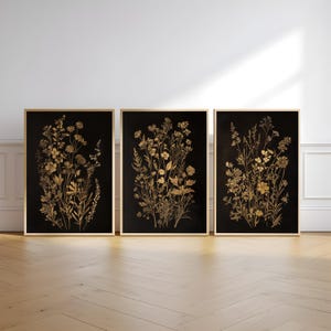 Dark Dried Wildflower Floral Botanical Illustrations Minimalist Art Modern Farmhouse Wall Decor