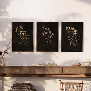 Dark Dried Wildflower Floral Botanical Illustrations Minimalist Art Modern Farmhouse Wall Decor