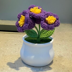 May include: A handcrafted crochet flower arrangement featuring three purple flowers with yellow centers, green leaves, and a white ceramic pot. The flowers are made with a textured yarn, and the pot is filled with green faux grass.