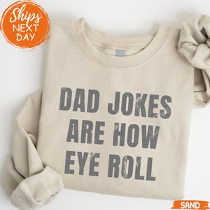 Mens Funny Fathers Day Sweatshirt, Humorous Dad Graphic Sweater, Comical Hoodie for Dads, Cute Family Joke Outfit, Dad Humor Fashion for Men