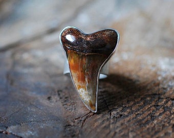 Maritime Ring Statement Fire Orange Shark Tooth