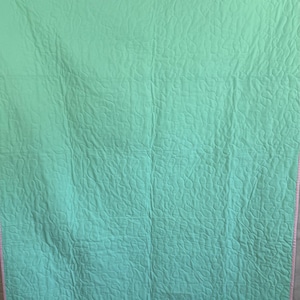 May include: A pale turquoise quilt with a repeating, organic pattern. The quilt has a border of pink and white striped fabric. The item is likely handmade and suitable for a bed or as a decorative throw.