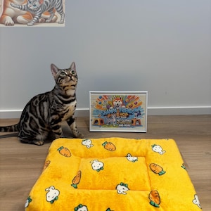 Soft Plush Cat Bed Mat – Warm Pet Sleeping Pad for Cats, Kittens, and Small Dogs