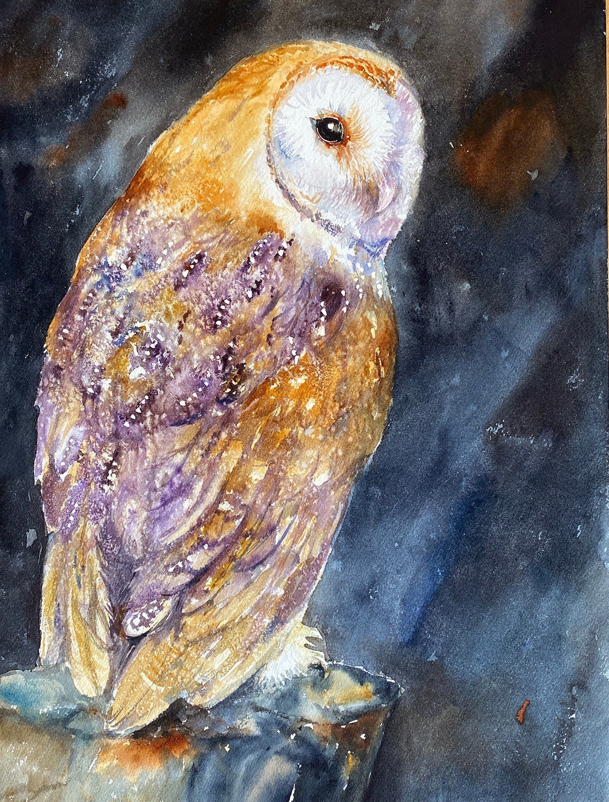 Barn Owl Original Watercolour Painting Wall Art Wildlife Art