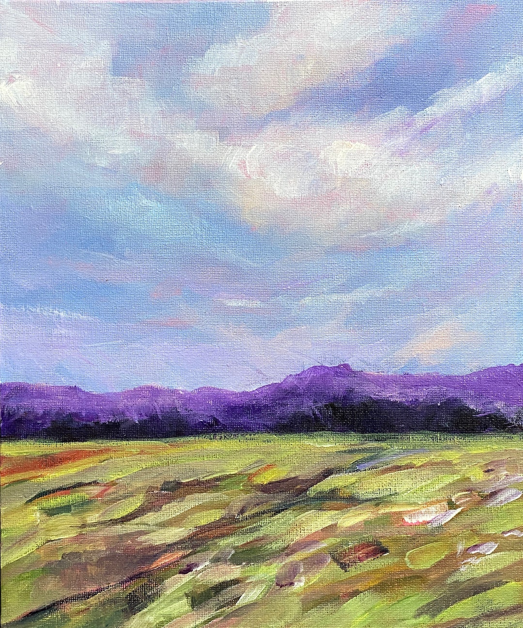 Original Acrylic Landscape Painting Framed Nature Countryside Etsy