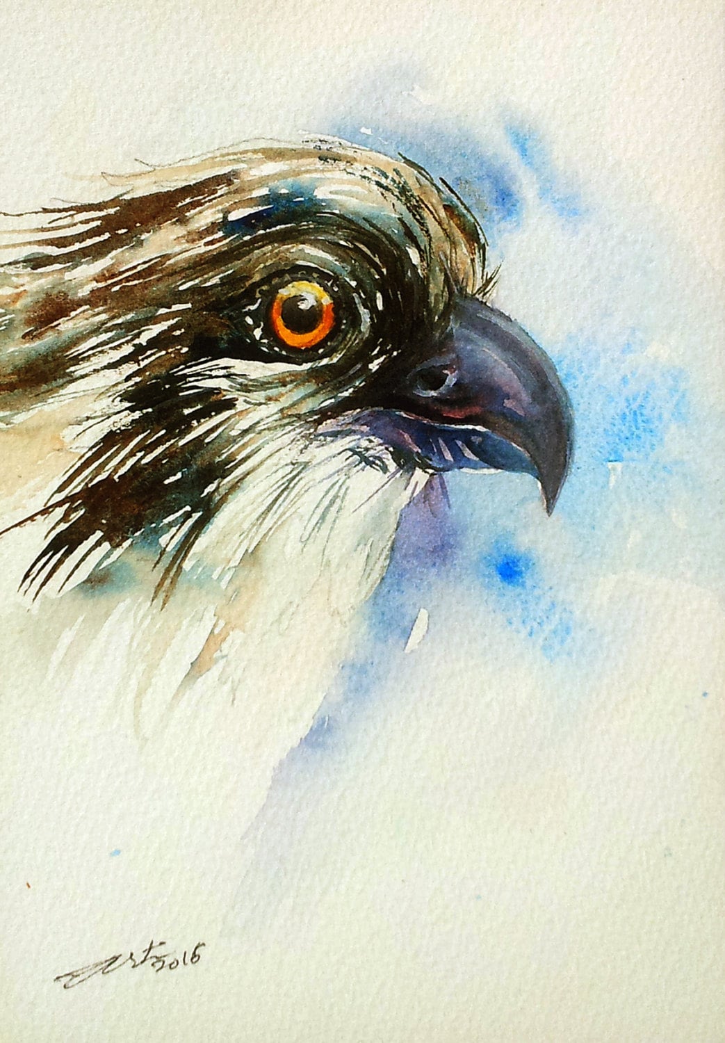 Eagle Osprey Bird Painting Wall Art Original Watercolor | Etsy
