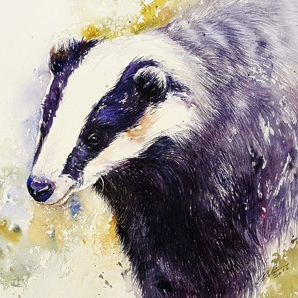 Badger Animal Painting Original Watercolor art Wall Decor