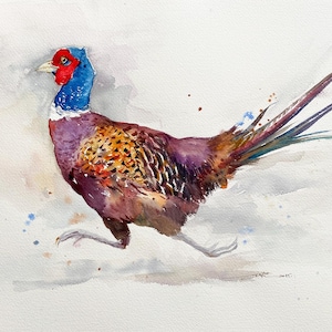 Running Pheasant Gamebird Watercolour Original Painting 12x16
