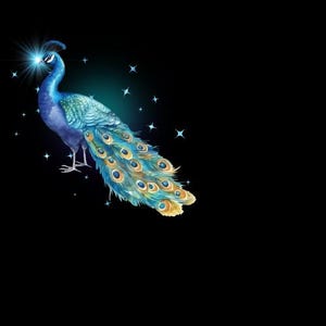 May include: A blue and green peacock with its tail feathers spread out. The peacock is standing on a black background with a sparkling effect.