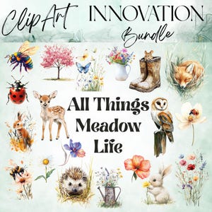 May include: A digital clipart bundle featuring watercolor illustrations of meadow life. Includes a bee, ladybug, deer, rabbit, owl, fox, flowers, and the text "All Things Meadow Life" and "Clip Art Innovation Bundle".