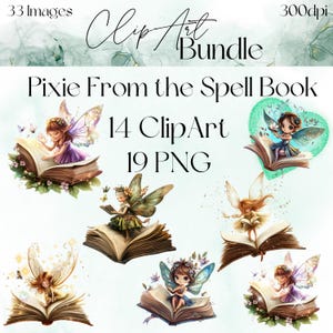 May include: A set of 14 digital clipart images featuring fairies sitting on open books. The fairies have wings and are wearing dresses. The books are decorated with flowers and butterflies. The images are in PNG format.