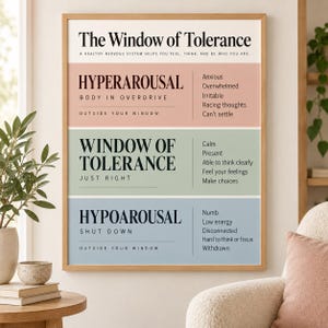 May include: A rectangular wall poster titled The Window of Tolerance with three horizontal colour-blocked sections. The top section is pink labelled Hyperarousal, the middle is green labelled Window of Tolerance, and the bottom is blue labelled Hypoarousal, each containing descriptive text about nervous system states.