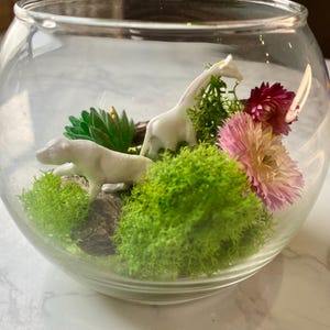 DIY Terrarium Kit for Kids - Fun Educational Craft Activity Christmas Gift | Miniature Garden Kit for Children | STEM Indoor Gardening Gift