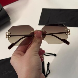 Classic Cartier Brown Luxury Designer Sunglasses
