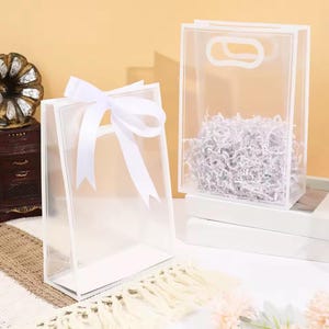 Può includere: Due sacchetti regalo rettangolari trasparenti con finiture bianche. Un sacchetto è legato con un fiocco di raso bianco. L'altro sacchetto contiene carta sminuzzata. Entrambi i sacchetti hanno un'asola per la maniglia. I sacchetti sono su una superficie bianca.