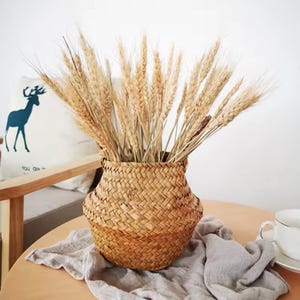 May include: A woven basket filled with dried wheat stalks. The basket has a rounded shape and a natural, light brown colour. The wheat is a golden-brown hue, creating a rustic and natural aesthetic. The basket is sitting on a wooden table.