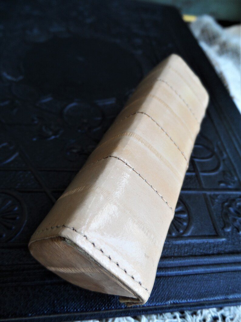 Vintage EEL Skin Eelskin Lipstick Case With Mirror Camel Tan Etsy