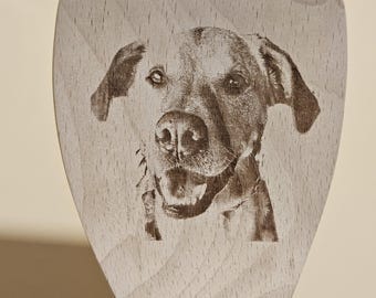 Cuillère en bois personnalisée gravée pour animal de compagnie, chien, chat, devis personnalisé, cadeau fantaisie