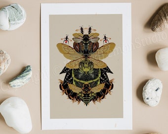 Bee Art Print, Bee Decor, Insect Art, Bee Lover Gift, Bumble Bee, Nature Prints, Animal Print, Wasps, Entomology Gifts, Entomologist