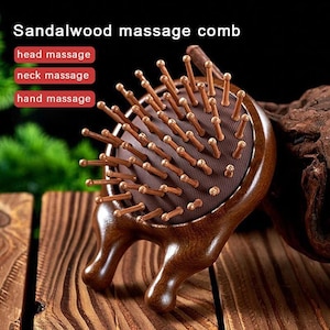 Multifunctional Airbag Massage Comb - Anti-Hair Loss & Blood Circulation Enhancer - Wide Tooth Scraping Comb