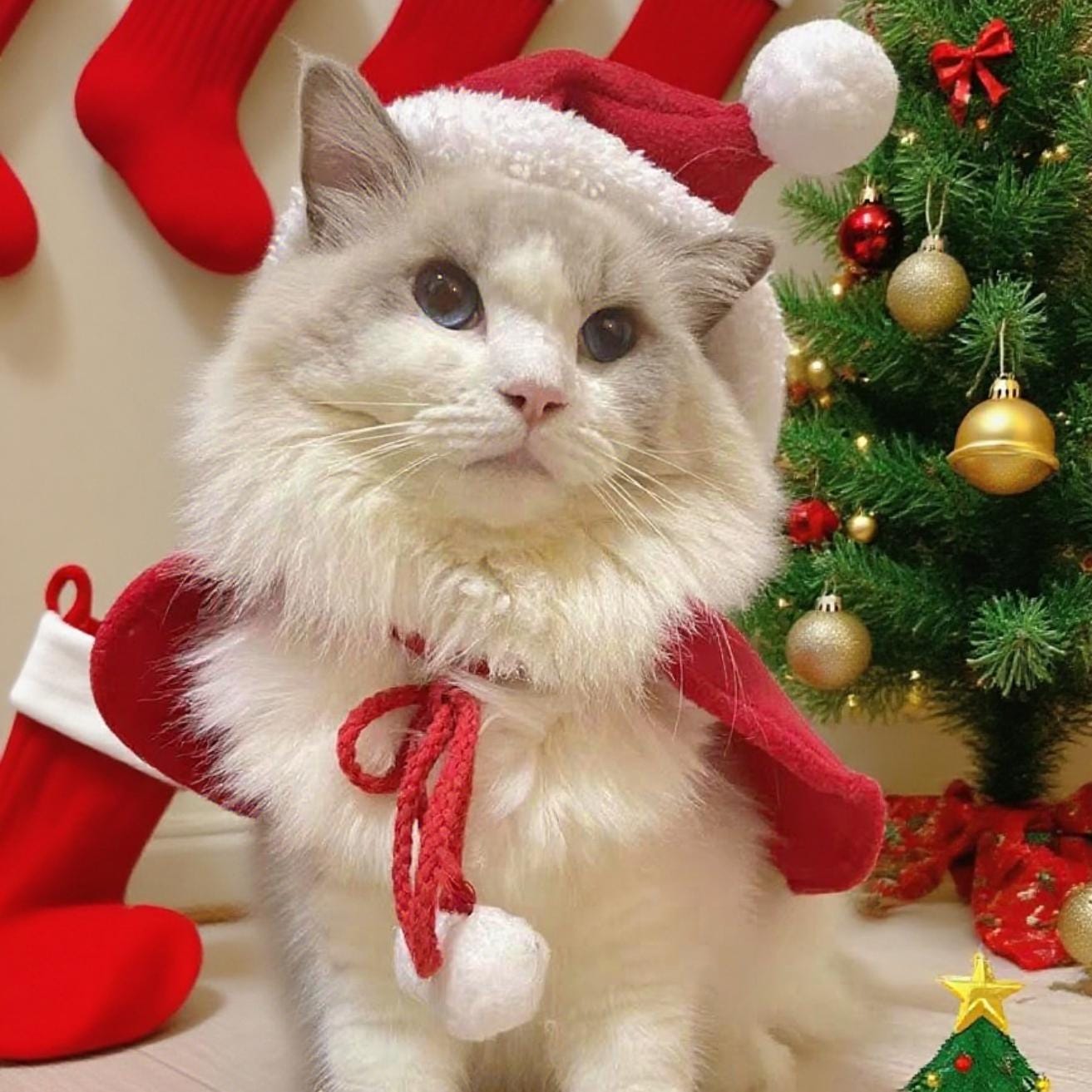 christmas dress with cats Meowy Catmus Women's Christmas Dress