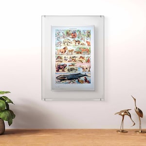 Printed in 1941, Mammals, Authentic Vintage (frame not included)