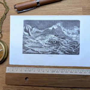 Impreso en 1871, grabado de ballena y pez espada, auténtico vintage (marco no incluido)