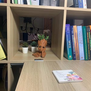 May include: A wooden bookshelf with a variety of books, including textbooks and novels. A small potted plant and a figurine of a character from the movie Guardians of the Galaxy are on the shelf. A wooden table with a white coaster is in the foreground.